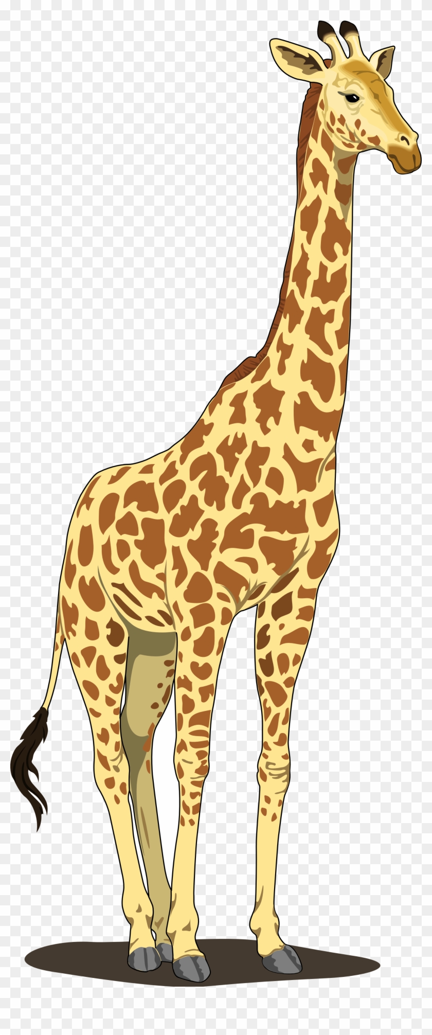 Detail Giraff Clipart Nomer 19