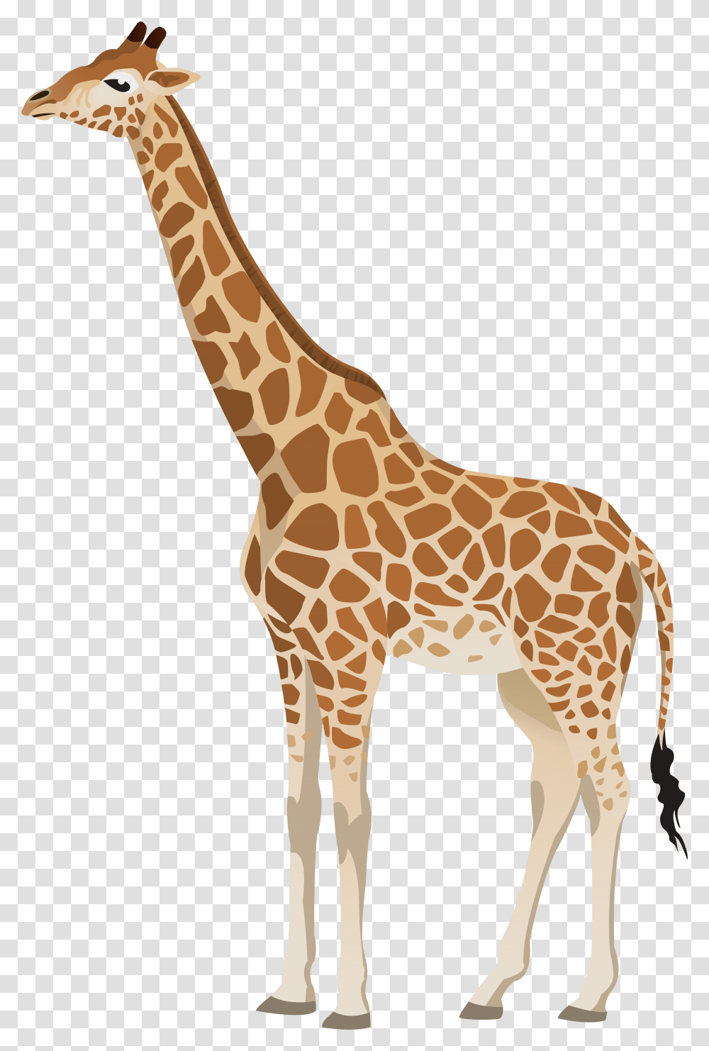 Detail Giraff Clipart Nomer 8