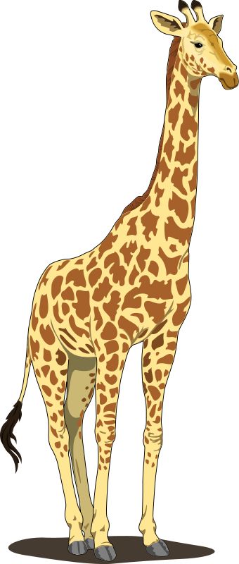 Detail Giraffe Clipart Free Nomer 7