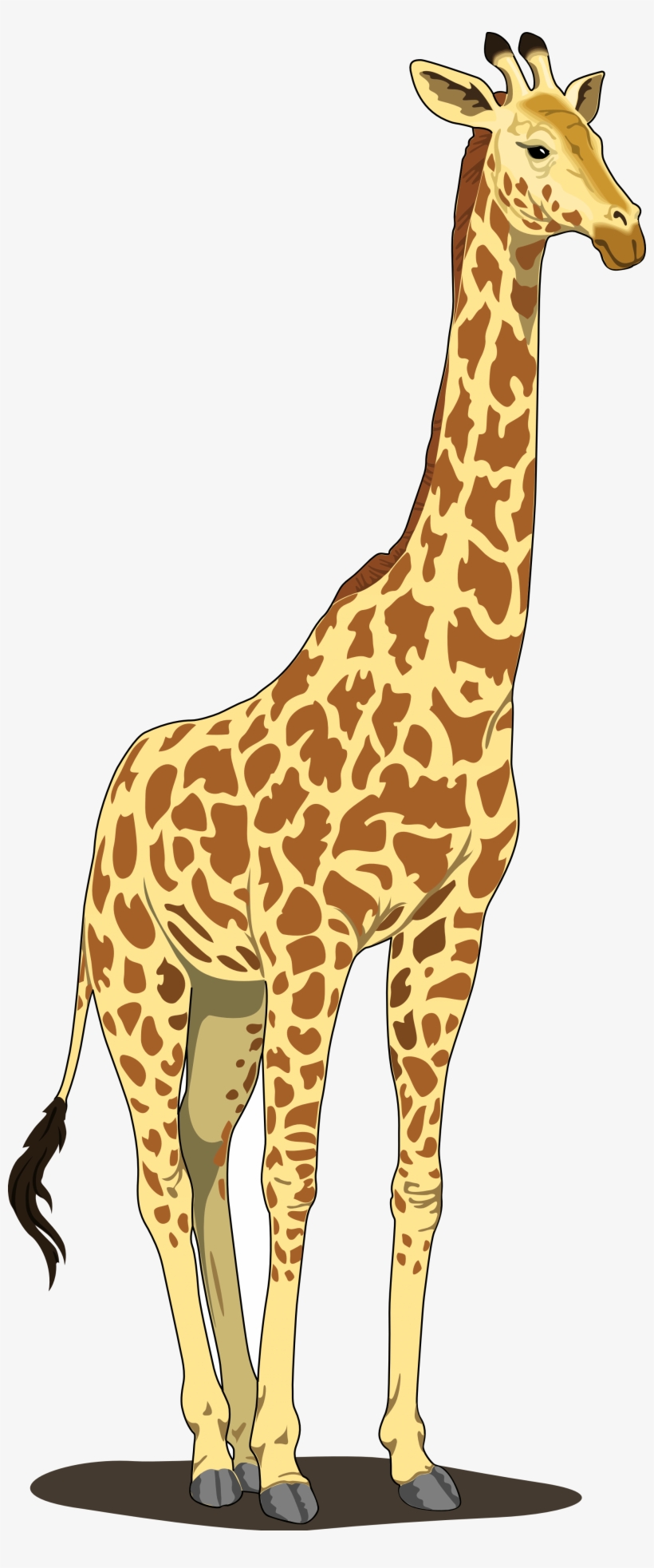 Detail Giraffe Clipart Images Nomer 12