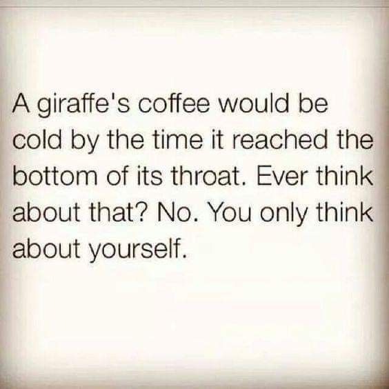 Giraffe Coffee Meme - KibrisPDR