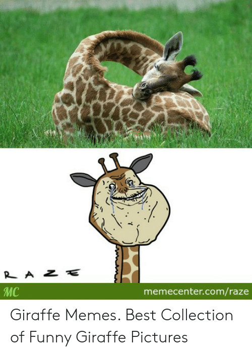 Download Giraffe Coffee Meme Nomer 51