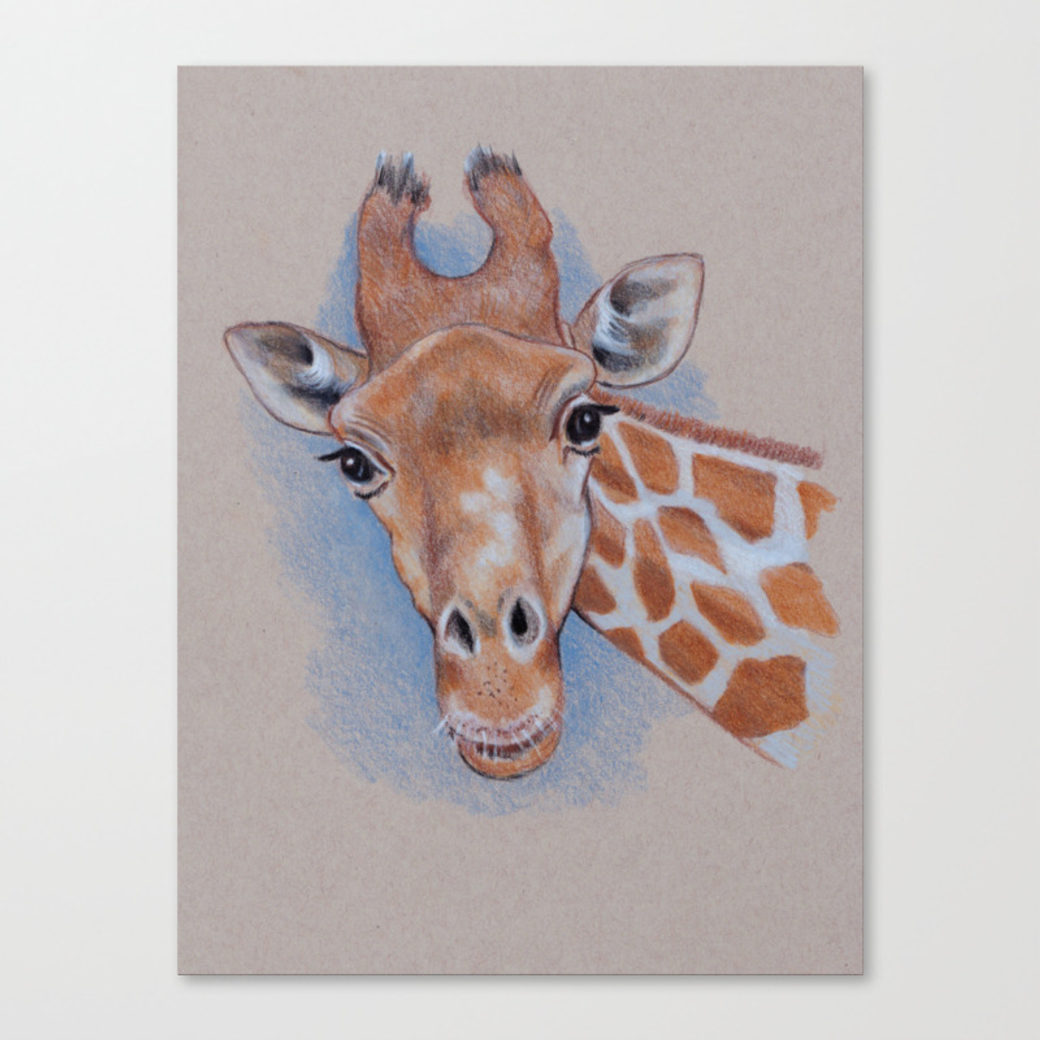 Giraffe Color Pencil Drawing - KibrisPDR