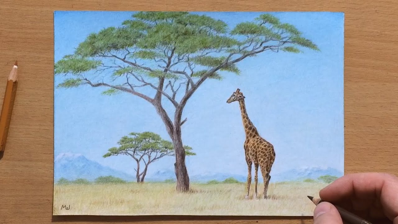 Detail Giraffe Color Pencil Drawing Nomer 25