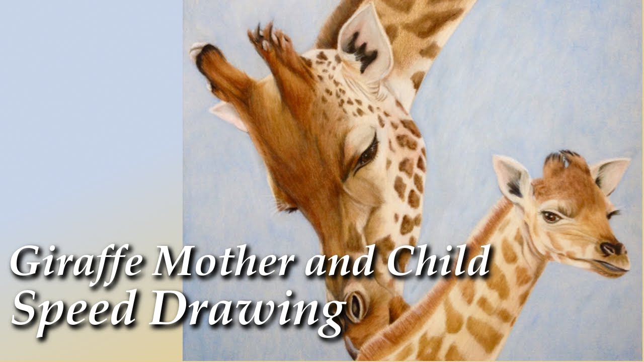 Detail Giraffe Color Pencil Drawing Nomer 27