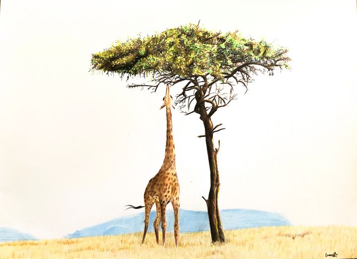 Detail Giraffe Color Pencil Drawing Nomer 35