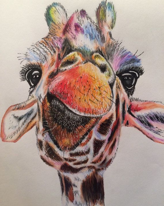 Detail Giraffe Color Pencil Drawing Nomer 36