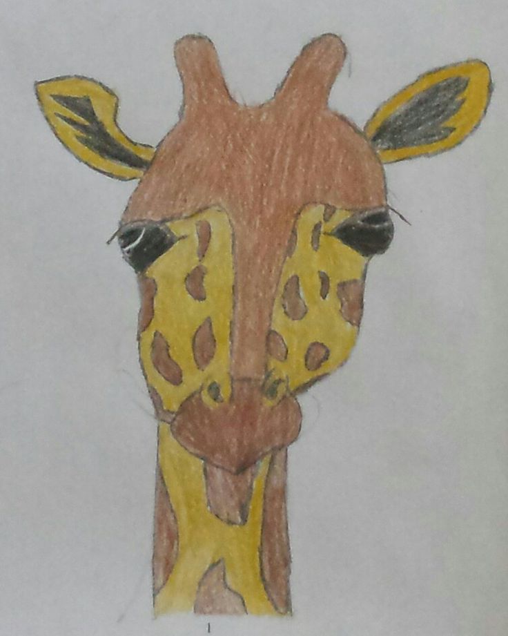 Detail Giraffe Color Pencil Drawing Nomer 49