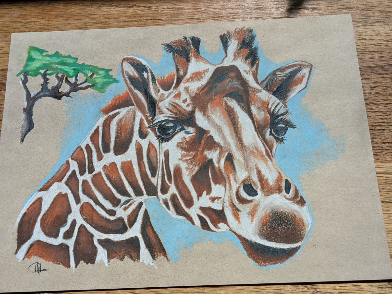 Detail Giraffe Color Pencil Drawing Nomer 52