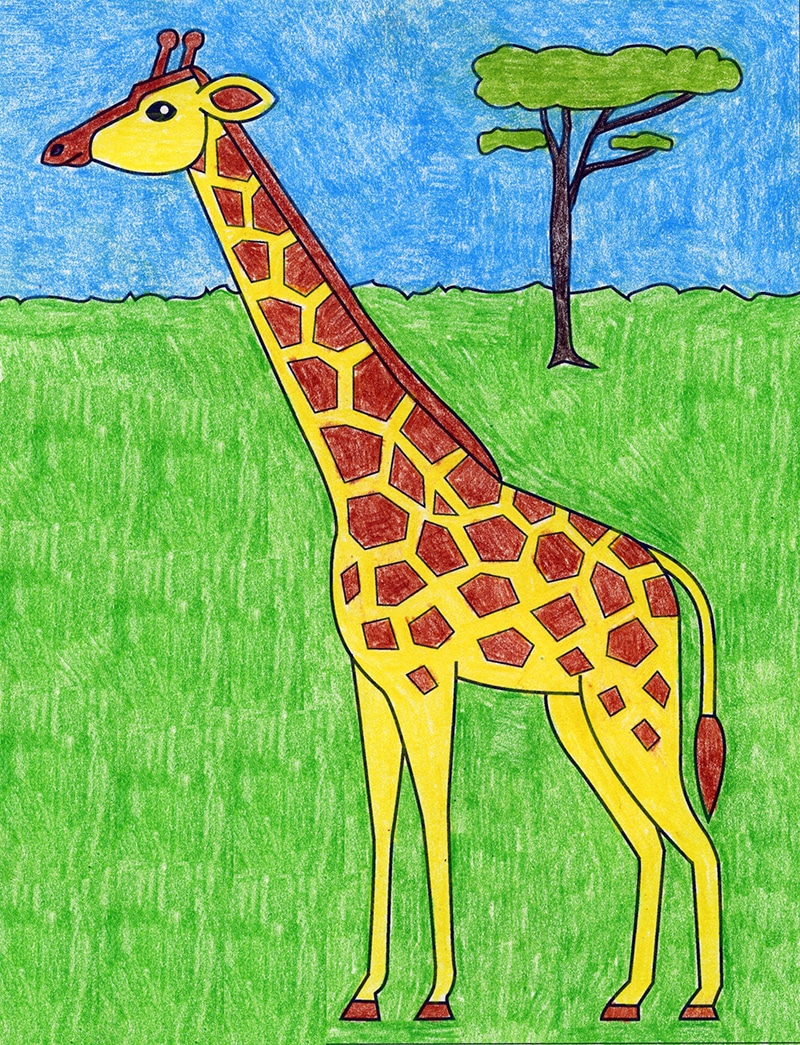Detail Giraffe Color Pencil Drawing Nomer 8