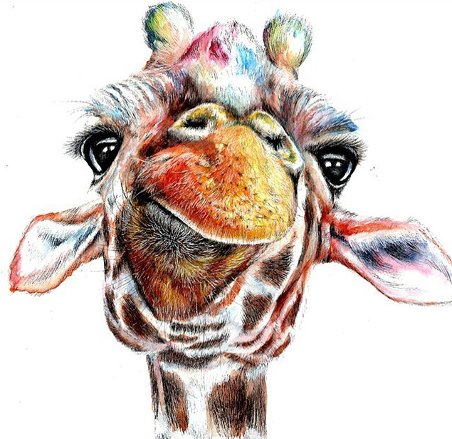 Detail Giraffe Color Pencil Drawing Nomer 10