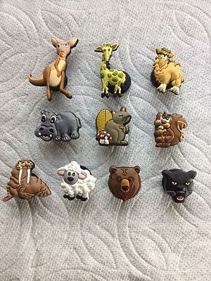 Detail Giraffe Crocs Nomer 50