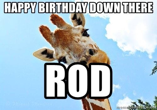 Detail Giraffe Happy Birthday Meme Nomer 12