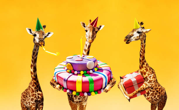 Detail Giraffe Happy Birthday Meme Nomer 14