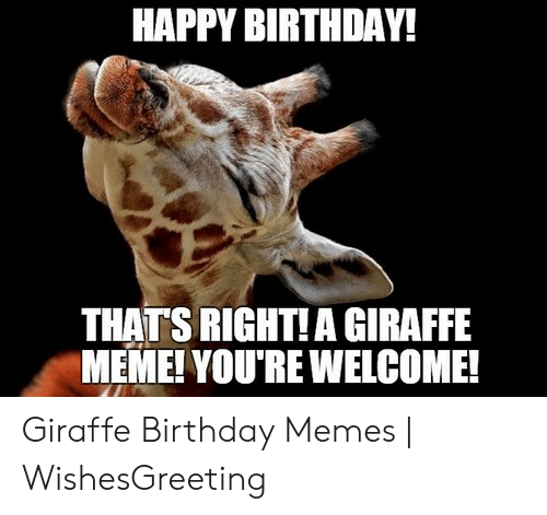 Detail Giraffe Happy Birthday Meme Nomer 15