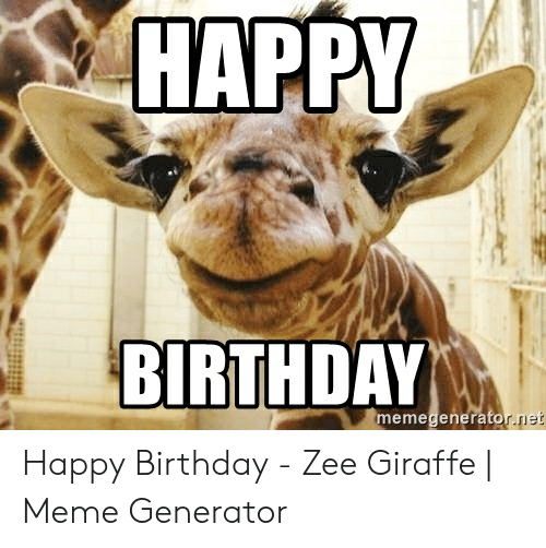 Detail Giraffe Happy Birthday Meme Nomer 19