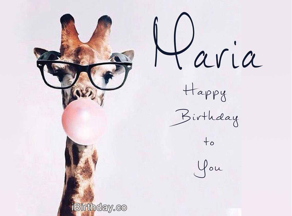 Detail Giraffe Happy Birthday Meme Nomer 26