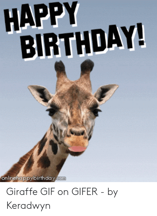 Detail Giraffe Happy Birthday Meme Nomer 38