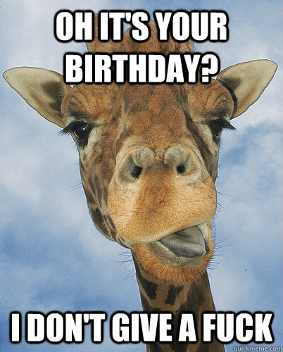 Detail Giraffe Happy Birthday Meme Nomer 42