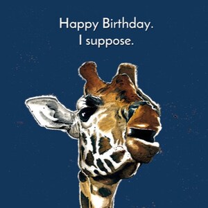 Detail Giraffe Happy Birthday Meme Nomer 43