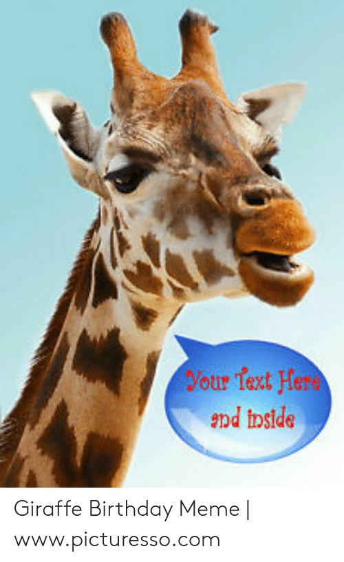 Detail Giraffe Happy Birthday Meme Nomer 55