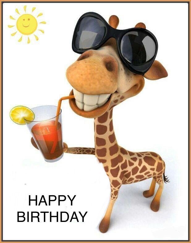 Detail Giraffe Happy Birthday Meme Nomer 8