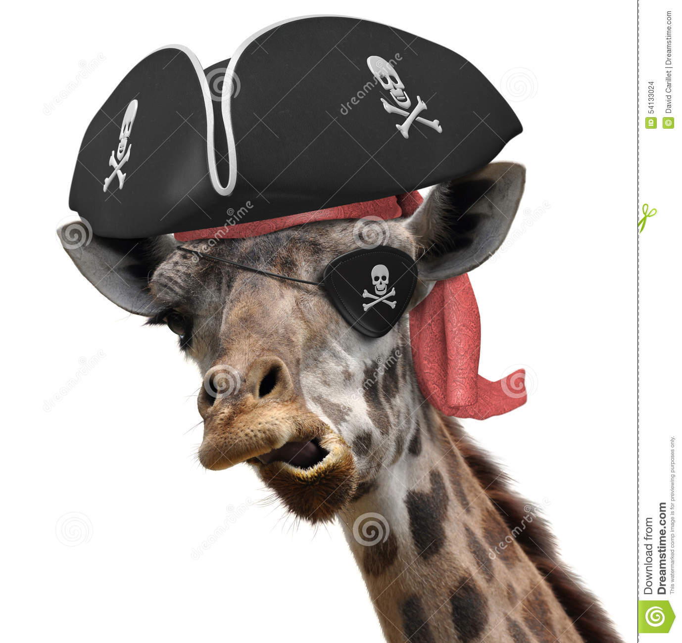 Detail Giraffe Hat Meme Nomer 16