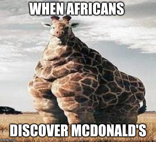 Detail Giraffe Hat Meme Nomer 18