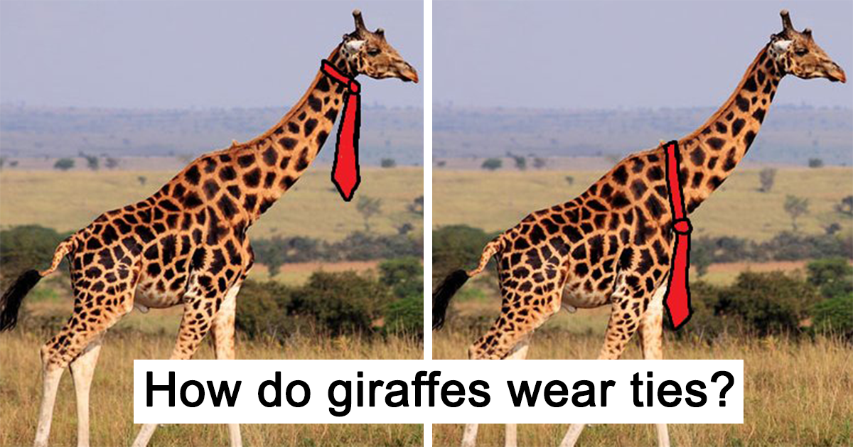 Detail Giraffe Hat Meme Nomer 24