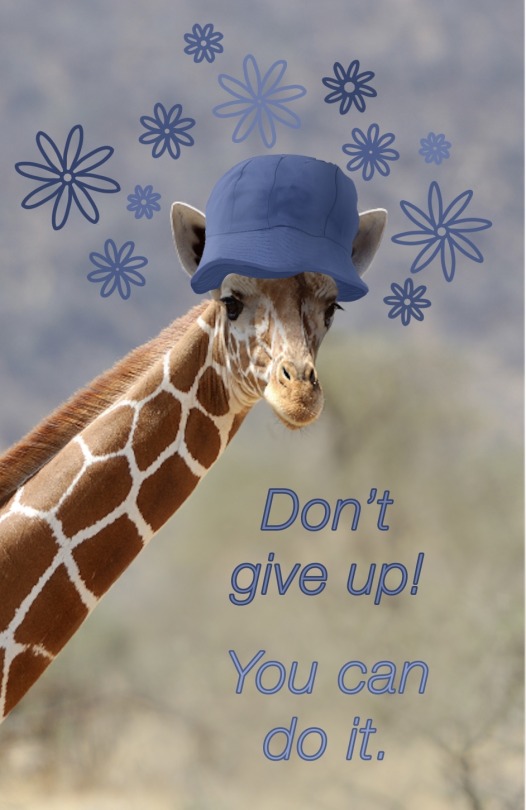 Detail Giraffe Hat Meme Nomer 25