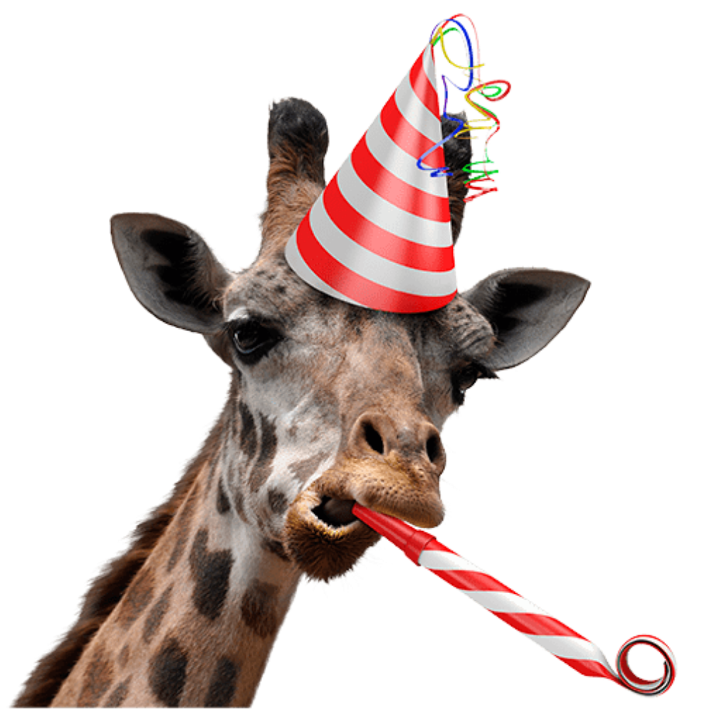 Detail Giraffe Hat Meme Nomer 26