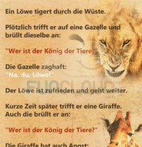 Detail Giraffe Hat Meme Nomer 27