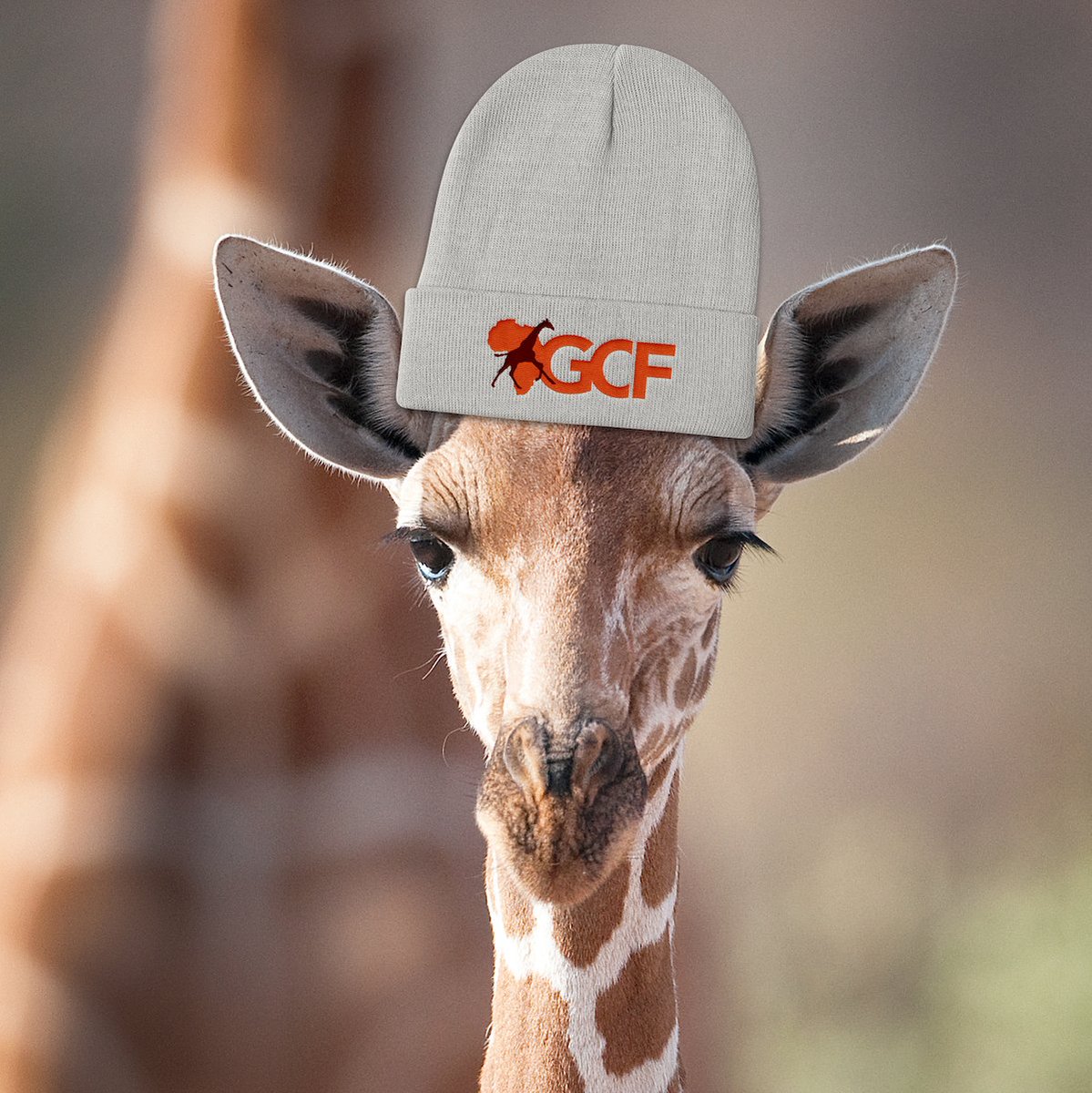 Detail Giraffe Hat Meme Nomer 40