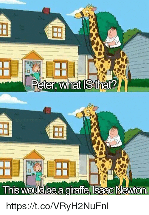 Detail Giraffe Hat Meme Nomer 41