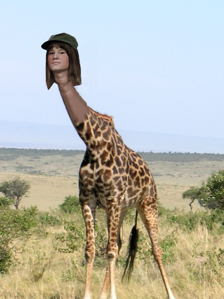Detail Giraffe Hat Meme Nomer 54