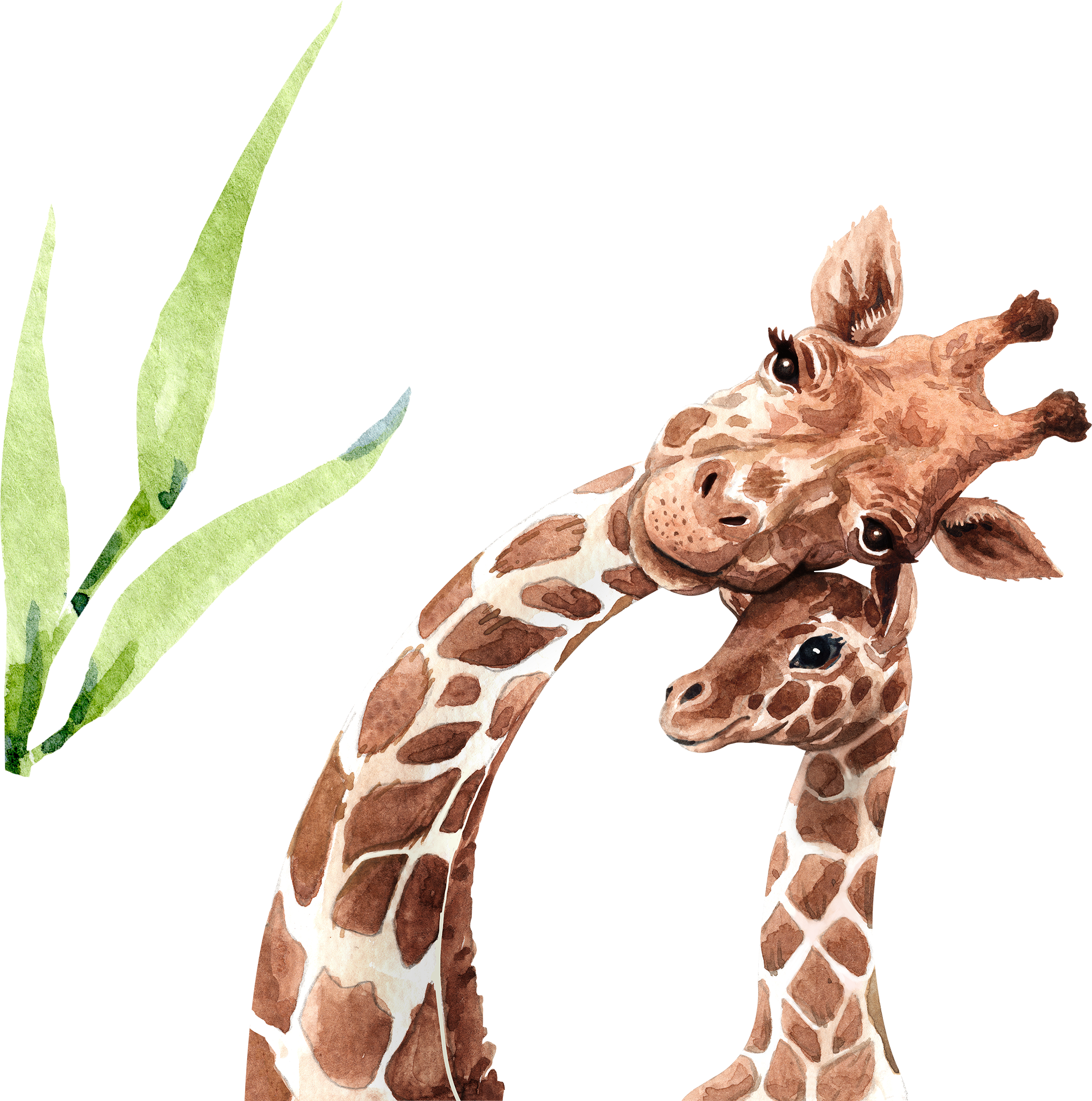 Detail Giraffe Images Free Nomer 17