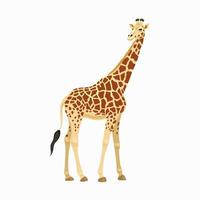 Detail Giraffe Images Free Nomer 38