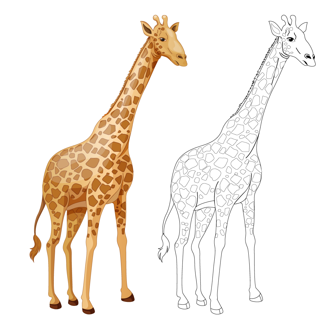 Detail Giraffe Images Free Nomer 51