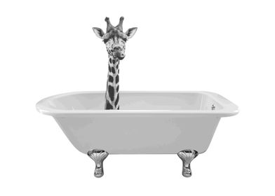 Detail Giraffe In Bathtub Picture Nomer 16