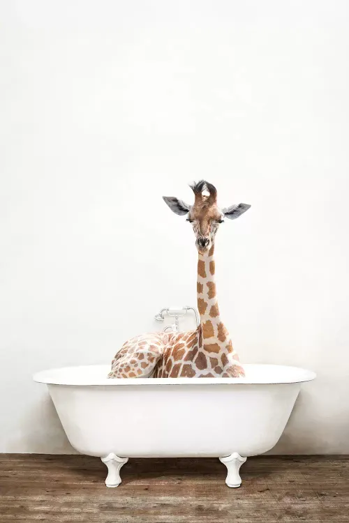 Detail Giraffe In Bathtub Picture Nomer 49