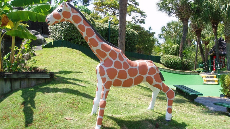Detail Giraffe Mailbox Nomer 24