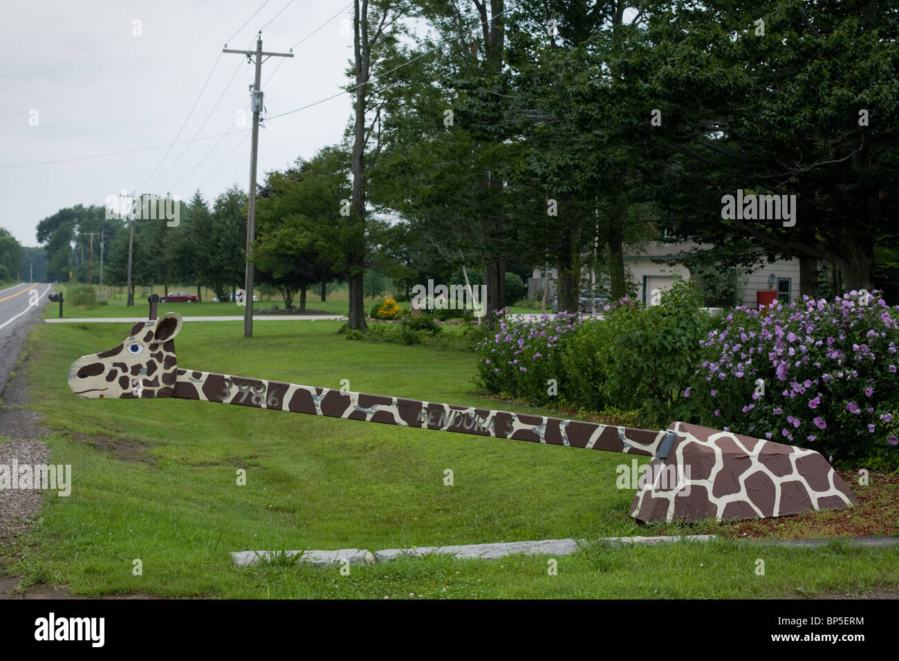 Detail Giraffe Mailbox Nomer 27