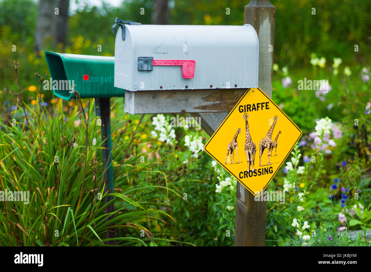 Detail Giraffe Mailbox Nomer 34