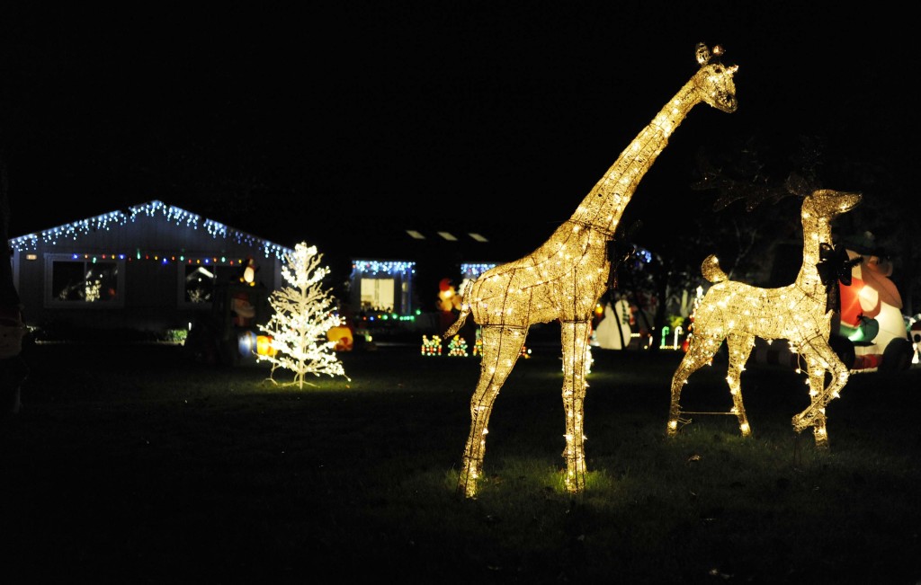 Detail Giraffe Mailbox Nomer 43