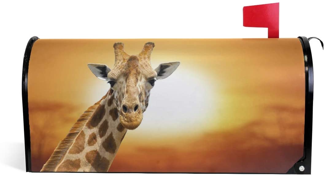 Detail Giraffe Mailbox Nomer 7