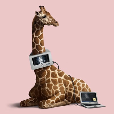 Detail Giraffe On A Treadmill Nomer 44