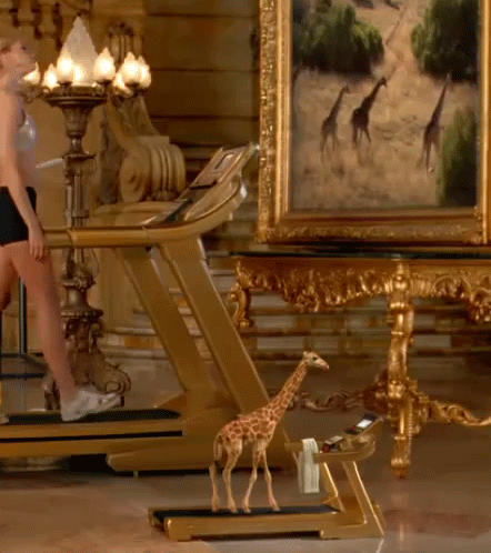 Detail Giraffe On A Treadmill Nomer 7