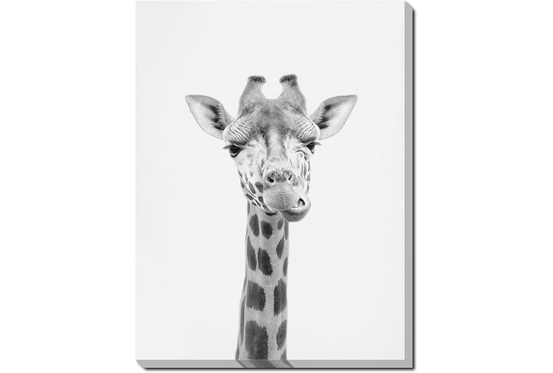 Detail Giraffe Pics Gallery Nomer 10