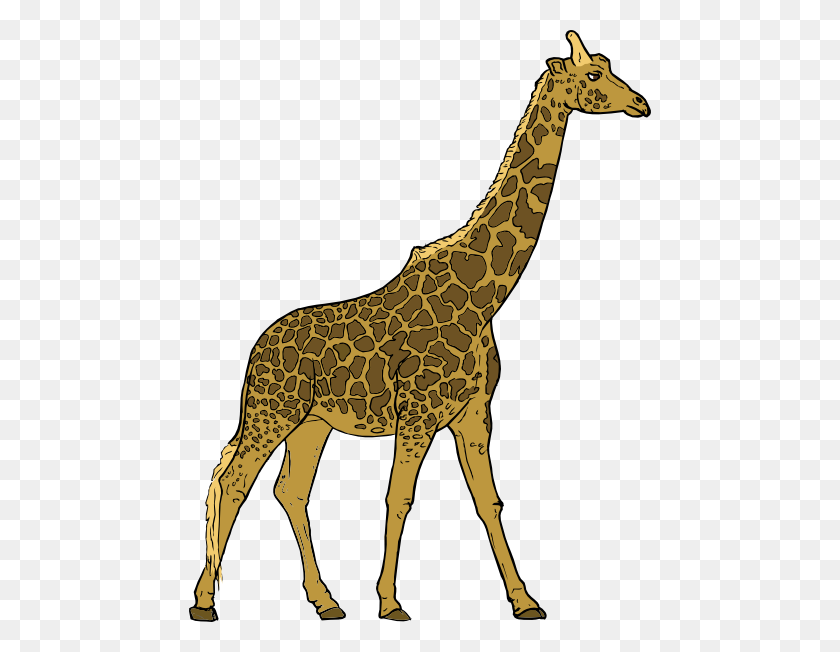 Detail Giraffe Png Clipart Nomer 16