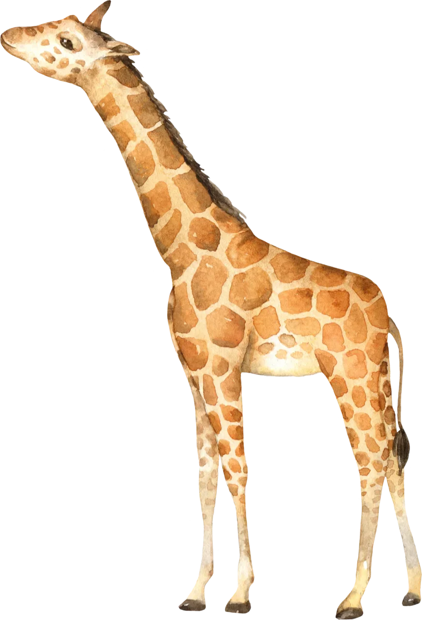 Detail Giraffe Png Clipart Nomer 21